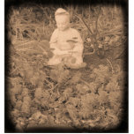 Buddha Fotoskulptur<br><div class="desc">Buddha Fotoskulptur Woodstock,  NY</div>