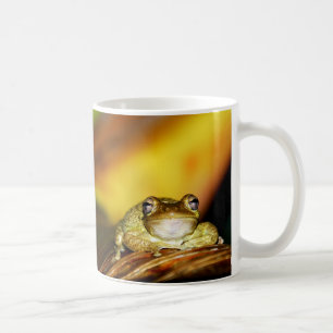 Buddha-Frosch Kaffeetasse