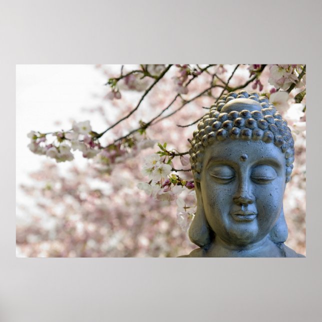 Buddha Head gegen Sakura Cheroms Poster (Vorne)