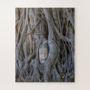 Buddha Head of Thailand