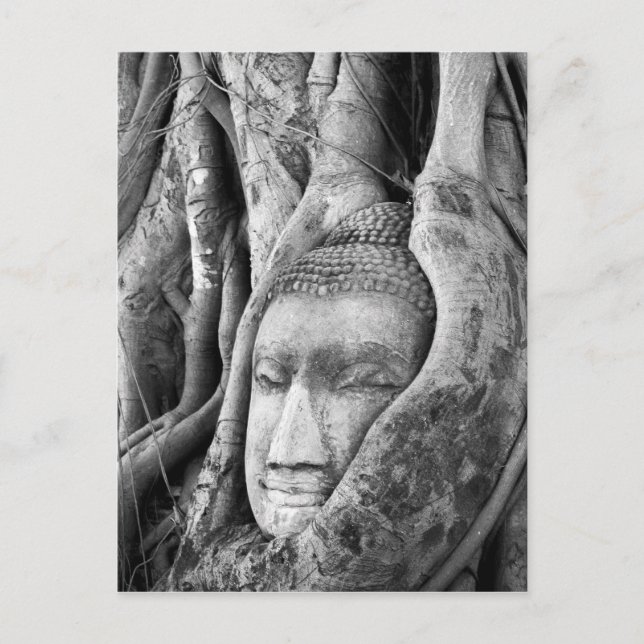 Buddha in einem Baum Postkarte (Vorderseite)