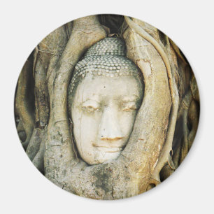 Buddha Kopf in der Feigenbaum .. Ayutthaya, Thaila Magnet