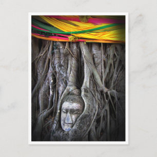 Buddha Und Der Baum Buddhismus Thailand Fotografie Postkarte