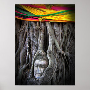 Buddha und der Baumbuddhismus Thailand Fotografie Poster