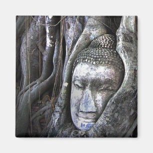 Buddha und die Baum-Buddhismus-Thailand-Fotografie Magnet