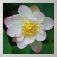 Buddha Zitat Lotus Blume