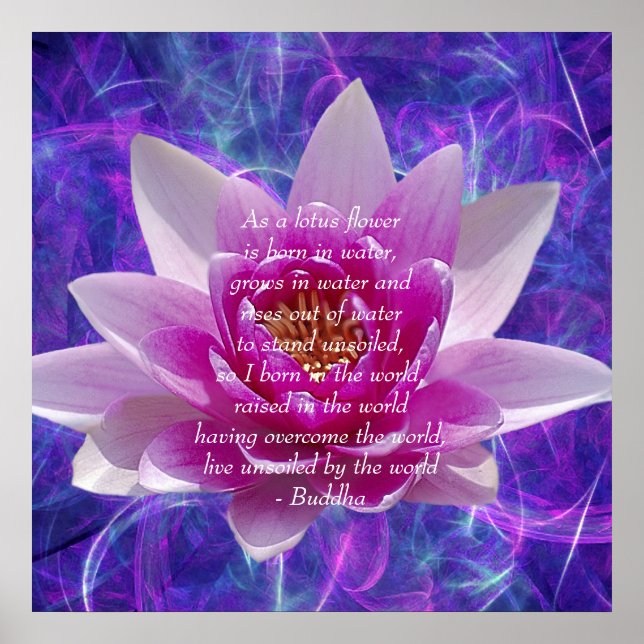 Buddha Zitat Lotus Blume Poster (Vorne)