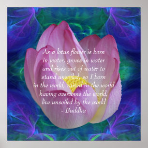 Buddha Zitat Lotus Blume Poster