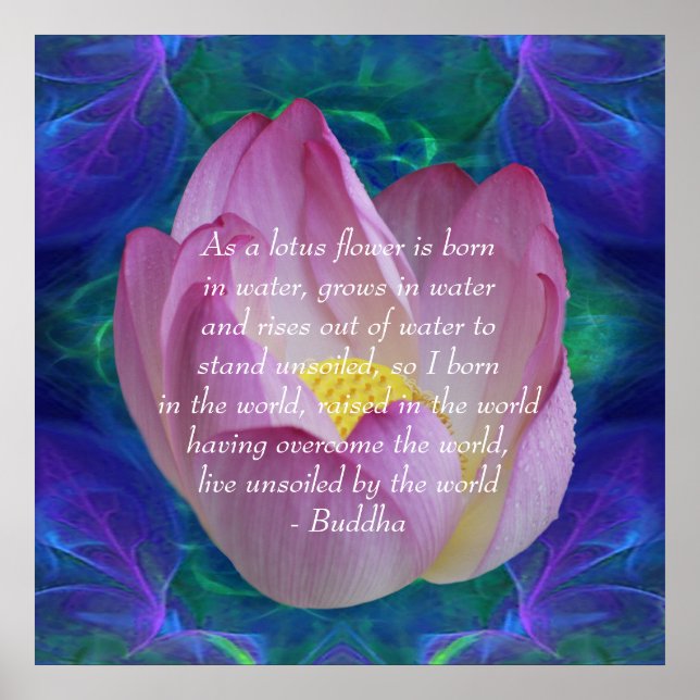 Buddha Zitat Lotus Blume Poster (Vorne)