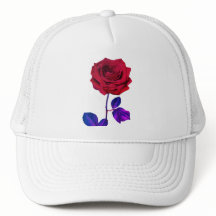 BuddhaToday V1 - #2 🌹