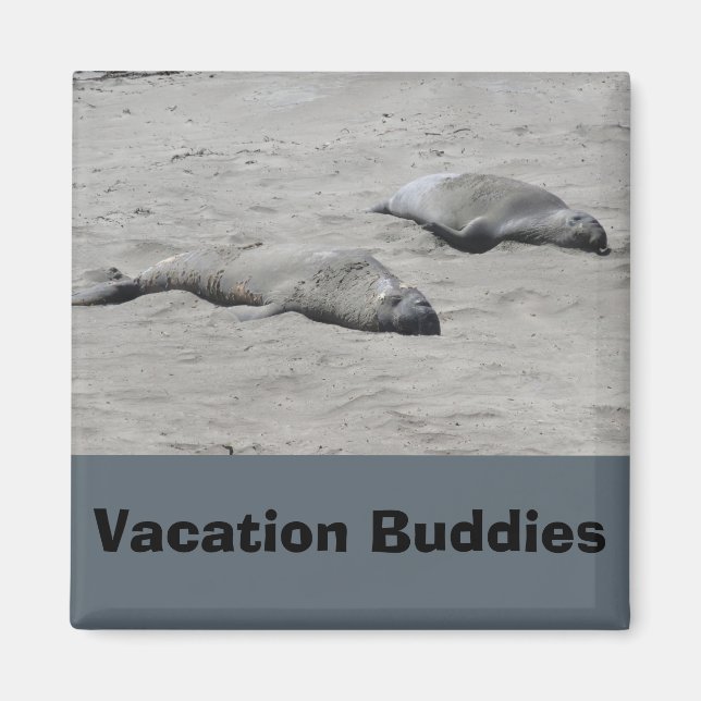 Buddies Magnet (Vorne)