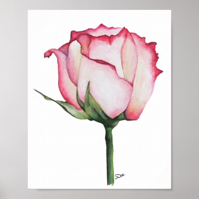  Budding Rose Premium 8x10 Canvas Gloss Poster (Vorne)