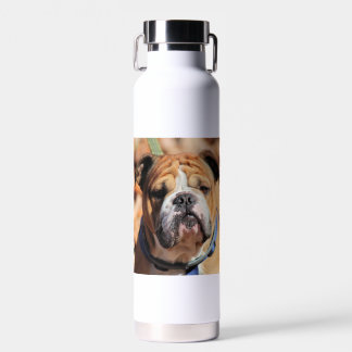Buddy Bulldog Trinkflasche