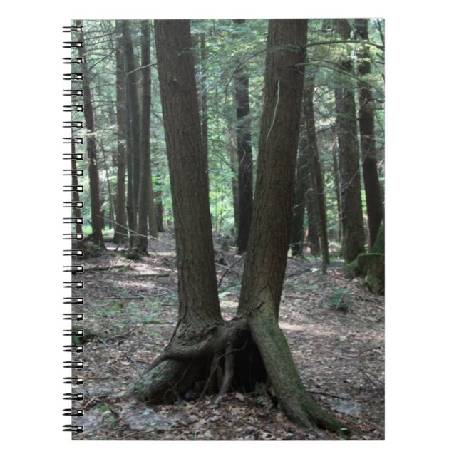 Buddy Trees Notebook Notizblock (Vorderseite)