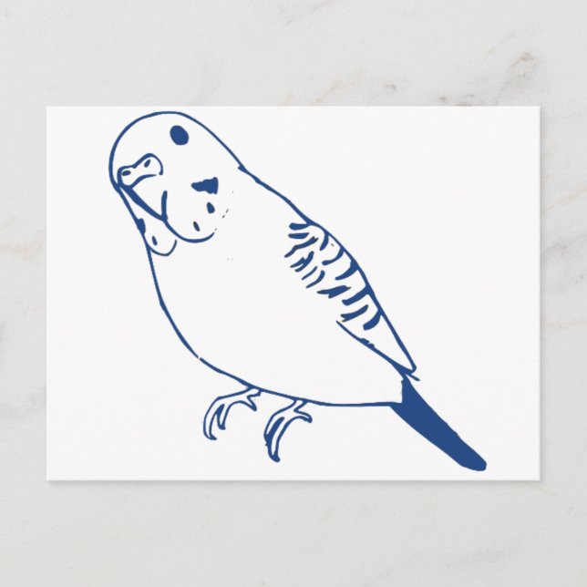 Budgerigar Postkarte (Vorderseite)