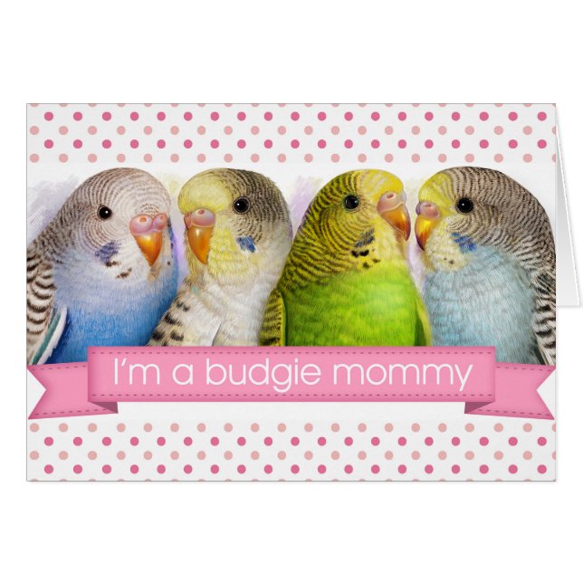 Budgerigars peinture réaliste (Devant horizontal)