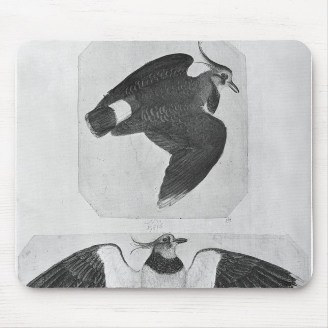 Budgerigars, vom Vallardi Album Mousepad (Vorne)