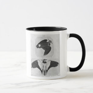 Budgerigars, vom Vallardi Album Tasse