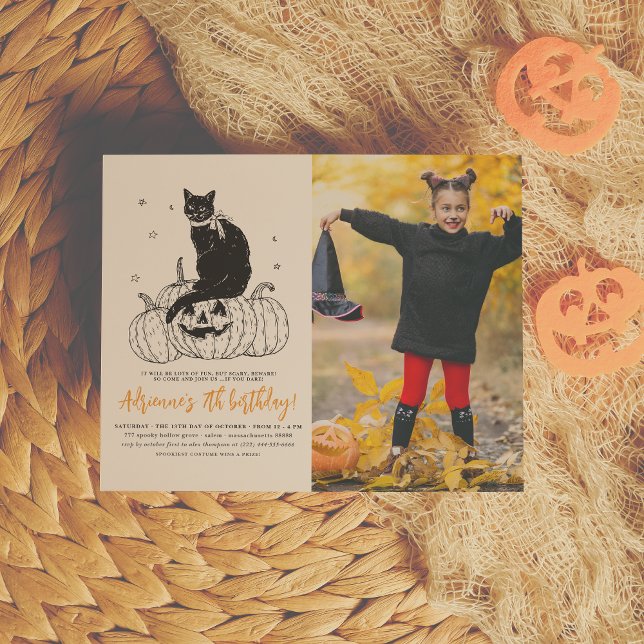 Budget Black Cat Halloween Pumpkin Foto Geburtstag (Von Creator hochgeladen)