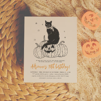 Budget Black Cat Halloween Pumpkin Geburtstagspart