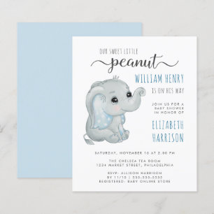 Budget Blue Elephant Watercolor Baby Boy Dusche