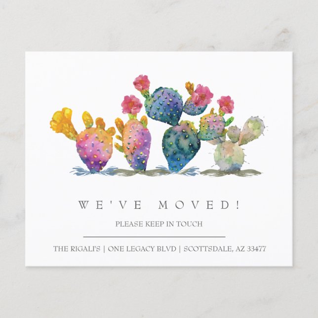 Budget Cactus New Zuhause Moving Ankündigung Flyer (Vorne)