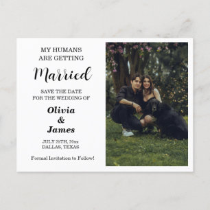 Budget Chien Mariage Photo Enregistrer la carte Da
