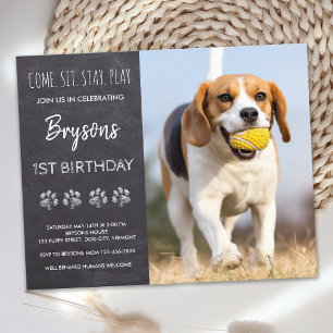 Budget Come Sit Bleibe Chalkboard Welpe Hund Gebur