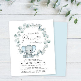 Budget Elephant Baby Boy Sprinkle Einladung