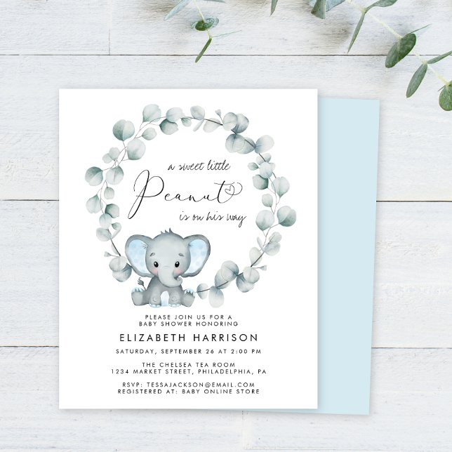 Budget Elephant Eucalyptus Baby Boy Shower Einladu (Von Creator hochgeladen)