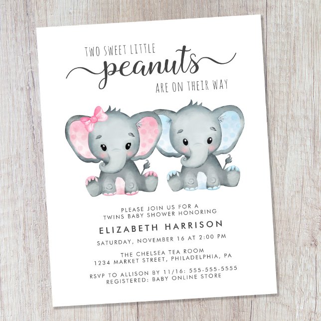 Budget Elephant Twin Boy Girl Baby Shower Einladun (Von Creator hochgeladen)