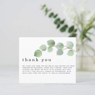 Budget Eukalyptus Funerary Beileid Vielen Dank