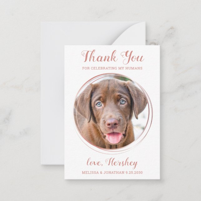 Budget Foto Hund Hochzeit Rose Gold Vielen Dank Mitteilungskarte (Vorderseite)