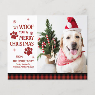 BUDGET Foto Wir wuffen euch ein frohes Weihnachtsf