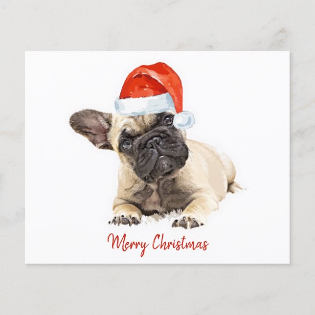 Budget Französischer Bulldog Welpe Weihnachten Nie (Vorderseite)