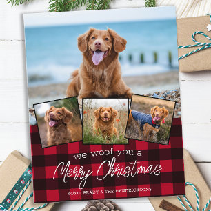 Budget Frohe Weihnachten Haustier Foto Roter Karie