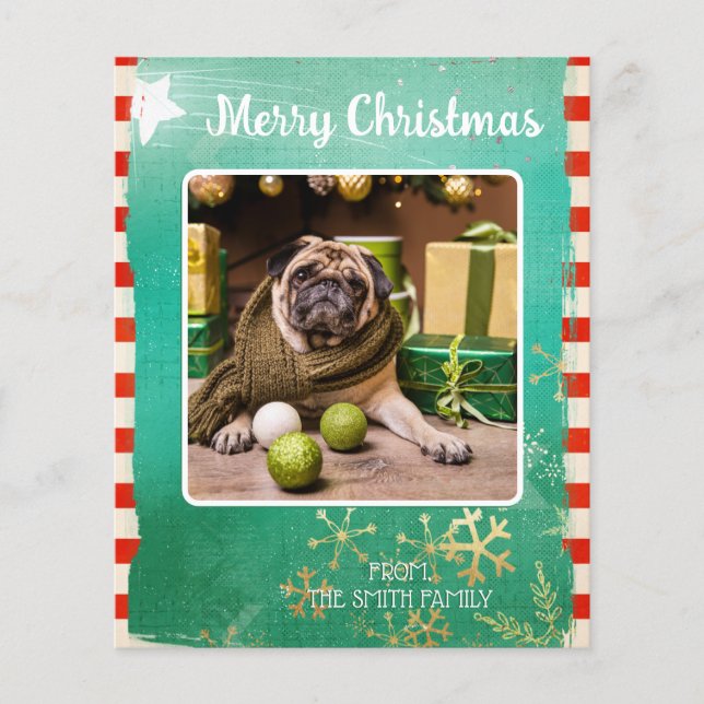 Budget Frohe Weihnachts-Haustier-Foto (Vorderseite)
