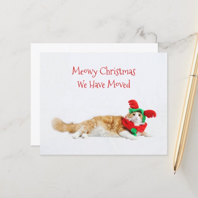 Budget Funny Cat Weihnachten Moving New Address (Vorderseite/Rückseite Beispiel)