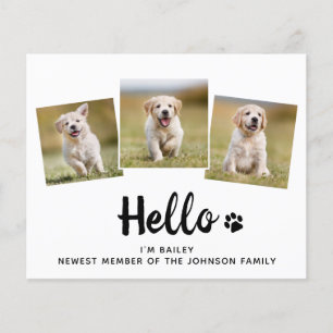 Budget Hallo Foto Welpen Hund Neuankündigung Haust