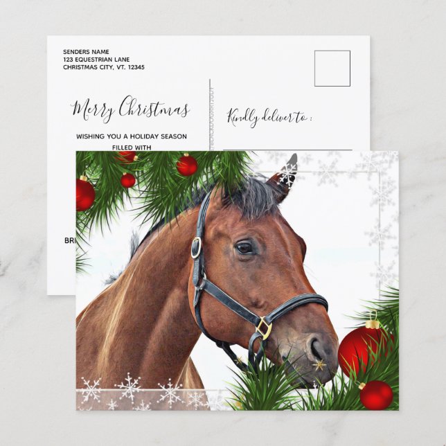 Budget HorChristmas Equine Niedlich Pony Holiday (Vorne/Hinten)