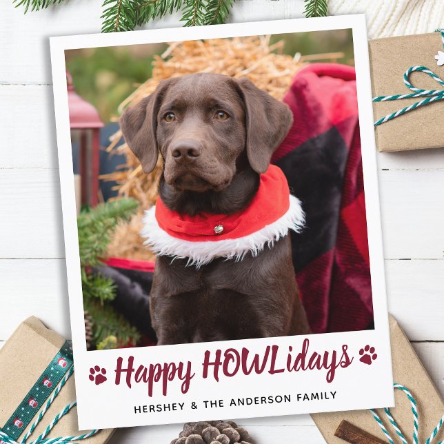 Budget Hund Lover Pet Foto Weihnachtskarte (Von Creator hochgeladen)