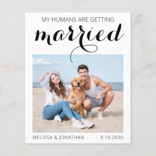 Budget Hunde Hochzeit Foto Save the Date Einladung