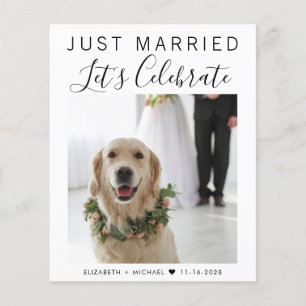 Budget Just Married Foto Hochzeitsempfang