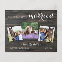 Budget Land 3 Foto Pferdeschlitten Hochzeit speich