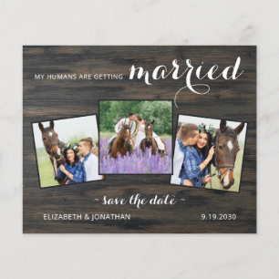 Budget Land 3 Foto Pferdeschlitten Hochzeit speich