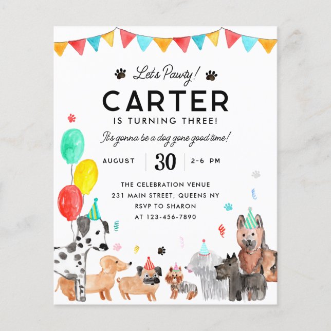 Budget Let's Pawty Party Kinder Welpen Hund Geburt (Vorderseite)