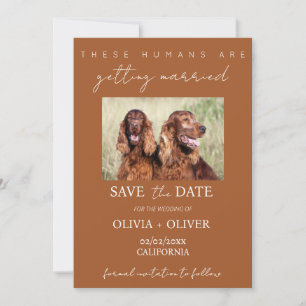 Budget, minimalistisch, Terracotta Custom dog Foto Save The Date