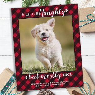 Budget Naughty Nice Pet Foto Roter Karierter Urlau