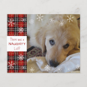 Budget Naughty or Nice Foto Lustige Weihnachtskart