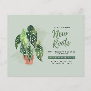 Budget New Roots New Address Mount Ankündigung